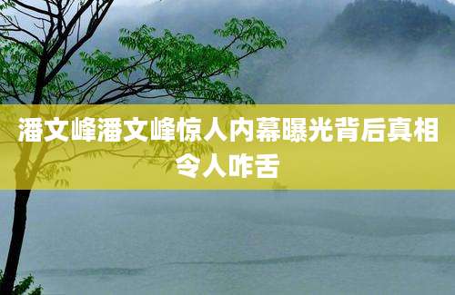 潘文峰潘文峰惊人内幕曝光背后真相令人咋舌