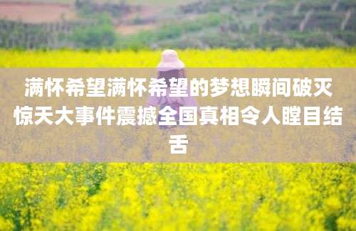 满怀希望满怀希望的梦想瞬间破灭惊天大事件震撼全国真相令人瞠目结舌