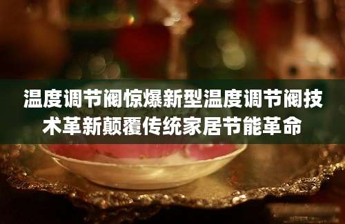 温度调节阀惊爆新型温度调节阀技术革新颠覆传统家居节能革命