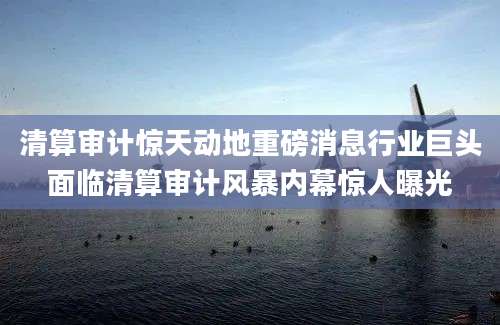 清算审计惊天动地重磅消息行业巨头面临清算审计风暴内幕惊人曝光