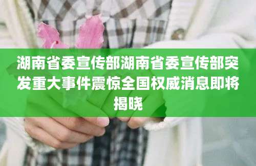 湖南省委宣传部湖南省委宣传部突发重大事件震惊全国权威消息即将揭晓