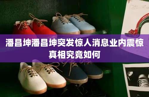 潘昌坤潘昌坤突发惊人消息业内震惊真相究竟如何
