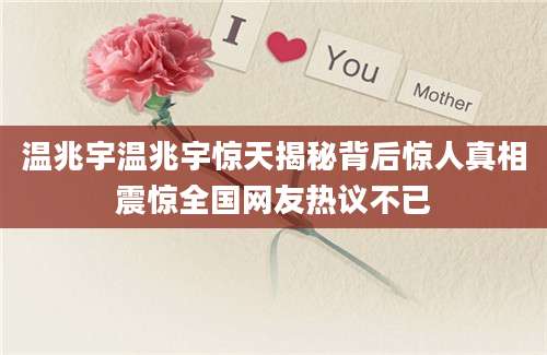 温兆宇温兆宇惊天揭秘背后惊人真相震惊全国网友热议不已