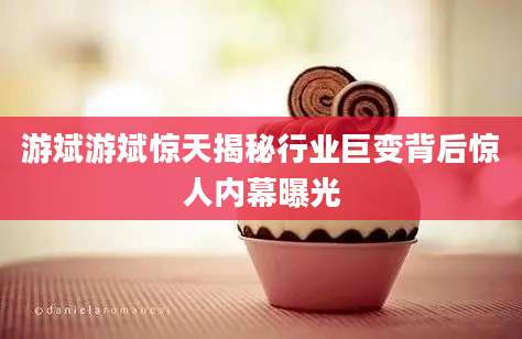 游斌游斌惊天揭秘行业巨变背后惊人内幕曝光