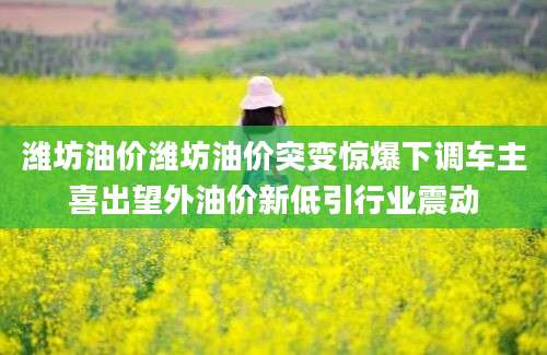 潍坊油价潍坊油价突变惊爆下调车主喜出望外油价新低引行业震动