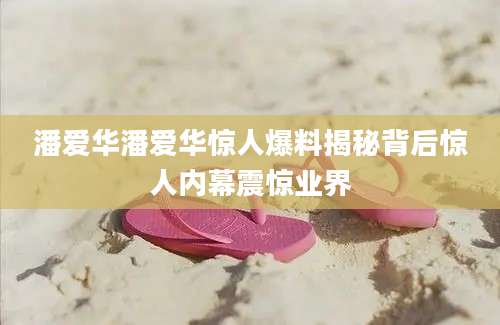 潘爱华潘爱华惊人爆料揭秘背后惊人内幕震惊业界