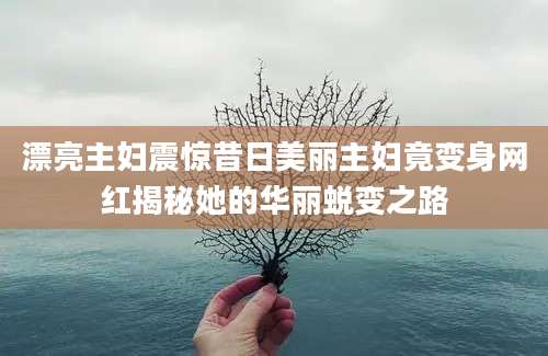漂亮主妇震惊昔日美丽主妇竟变身网红揭秘她的华丽蜕变之路