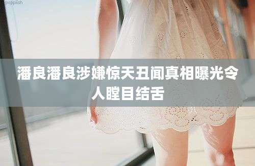 潘良潘良涉嫌惊天丑闻真相曝光令人瞠目结舌