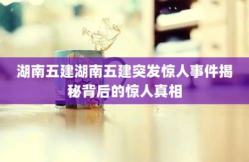 湖南五建湖南五建突发惊人事件揭秘背后的惊人真相