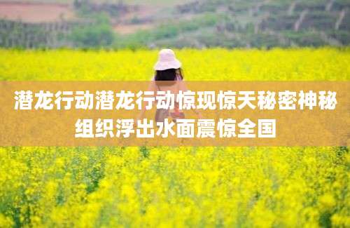 潜龙行动潜龙行动惊现惊天秘密神秘组织浮出水面震惊全国