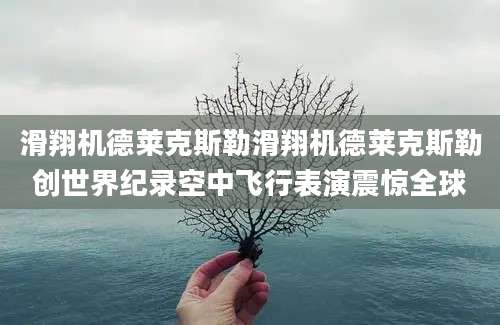 滑翔机德莱克斯勒滑翔机德莱克斯勒创世界纪录空中飞行表演震惊全球