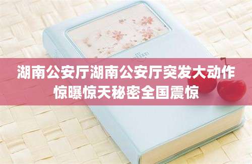 湖南公安厅湖南公安厅突发大动作惊曝惊天秘密全国震惊