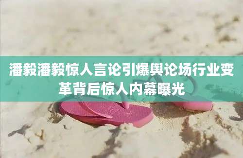 潘毅潘毅惊人言论引爆舆论场行业变革背后惊人内幕曝光