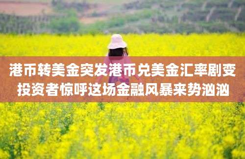 港币转美金突发港币兑美金汇率剧变投资者惊呼这场金融风暴来势汹汹